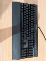 RGB Gaming Tastatur von Corsair Nordrhein-Westfalen - Lippetal Vorschau