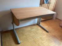 Schreibtisch mit Drehstuhl von der Firma Moll Baden-Württemberg - Lörrach Vorschau