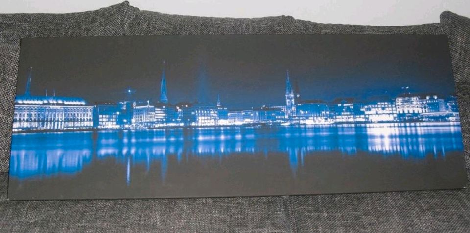 Leinwandbild von Alster Hamburg 150 cm x 55 cm Gebraucht in Hamburg