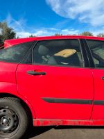 Ford Focus MK1 Tür hinten rechts spanish rot Nordrhein-Westfalen - Spenge Vorschau