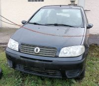 Pkw - Fiat Punto 1,2 Benzin Bayern - Rosenheim Vorschau