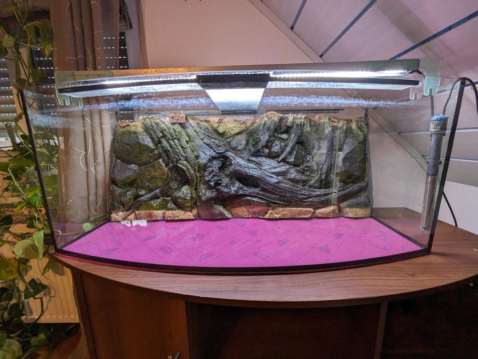 Aquarium mit gewölbter Panoramascheibe 260 l und Zubehör in Berching