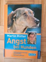 Martin Rütter Angst bei Hunden Nordrhein-Westfalen - Nordkirchen Vorschau