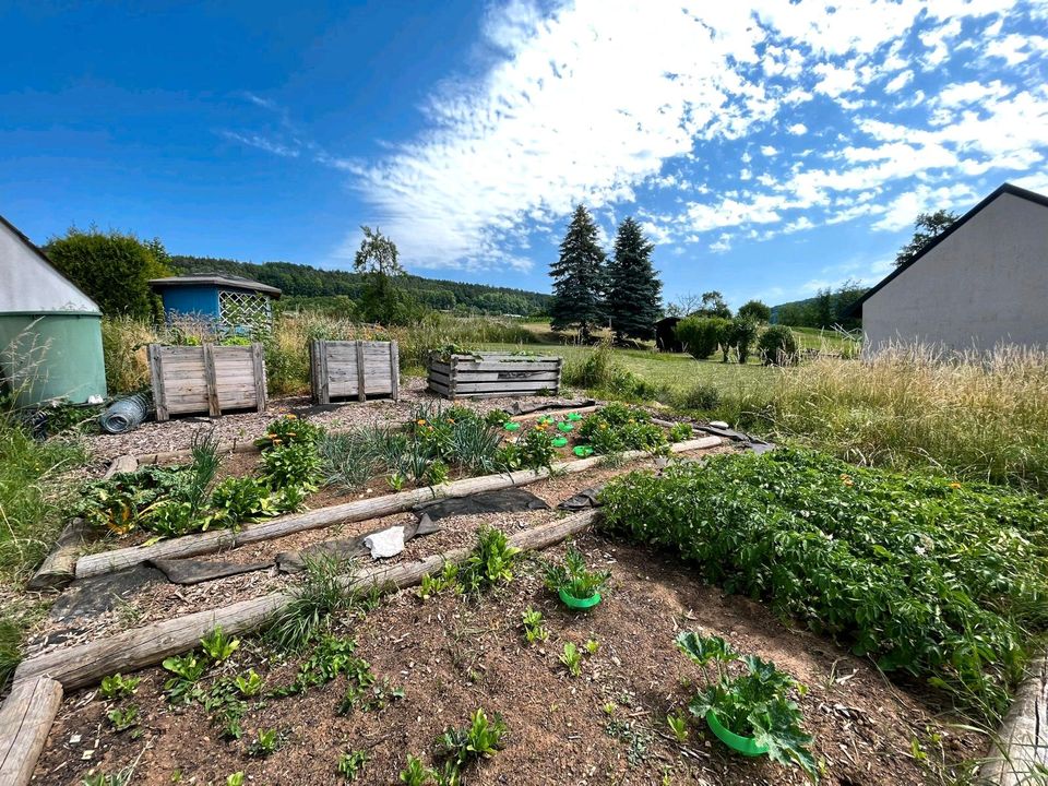 Garten Permakultur Freizeit Grundstück in Igensdorf