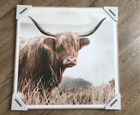 Reinders! Gerahmtes Wandbild - Nature Cow / 50x50cm / Neu in OVP Niedersachsen - Wiesmoor Vorschau