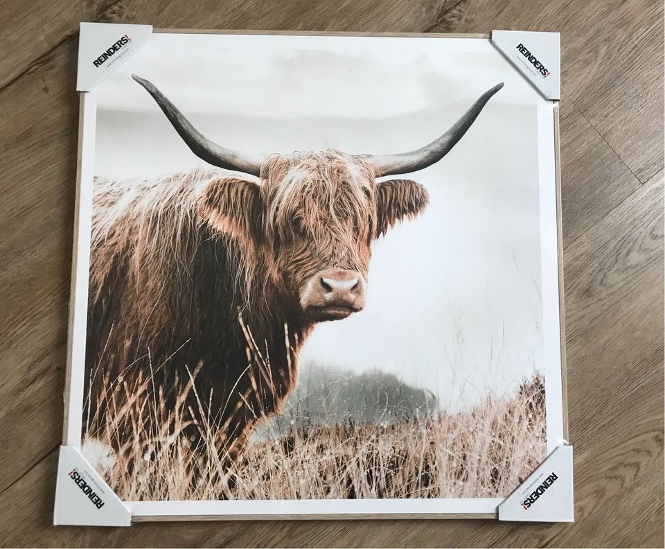 Reinders! Gerahmtes Wandbild - Nature ist Kleinanzeigen 50x50cm / - in Kleinanzeigen Neu eBay OVP jetzt Niedersachsen in Cow / | Wiesmoor