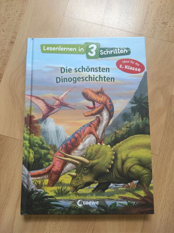 Erstleser, Lesenlernen, Dinogeschichten, antolin in Dresden