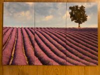 Lavendelfeld Fotos Bilder Leinwand dreiteilig Baum Himmel Wolken Niedersachsen - Scharnebeck Vorschau