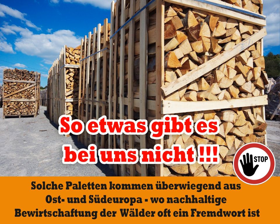 „ab 4 m³ bis 35 m³ - 40 km um Groitzsch  Pegau , Kaminholz, Brennholz, Feuerholz, Holzvergaser, Kamin, Holz, Feuer, Brenn in Pegau