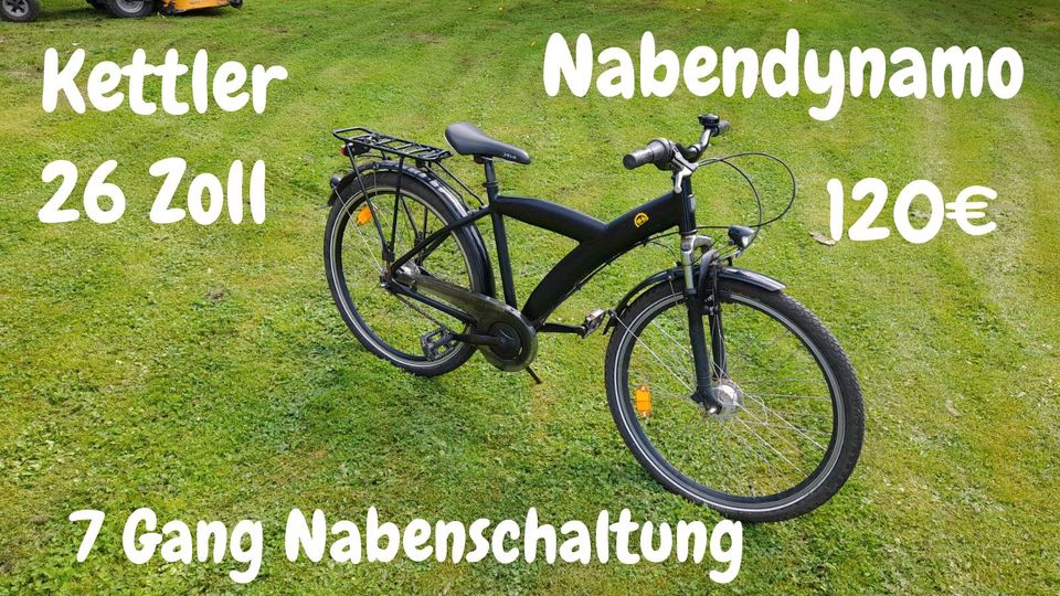 Mehrere 26 Zoll Räder Rad Fahrrad Pegasus Böttcher Cruiser in Barlt