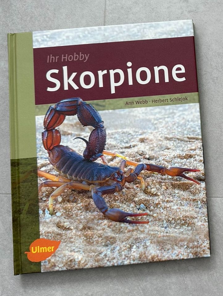 Skorpione (Sachbuch) in Ostfildern
