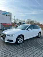 Audi A4 B9! 2.0 TDI! Automatik! Aachen - Aachen-Mitte Vorschau