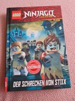 Lego Ninjago Buch Baden-Württemberg - Schemmerhofen Vorschau