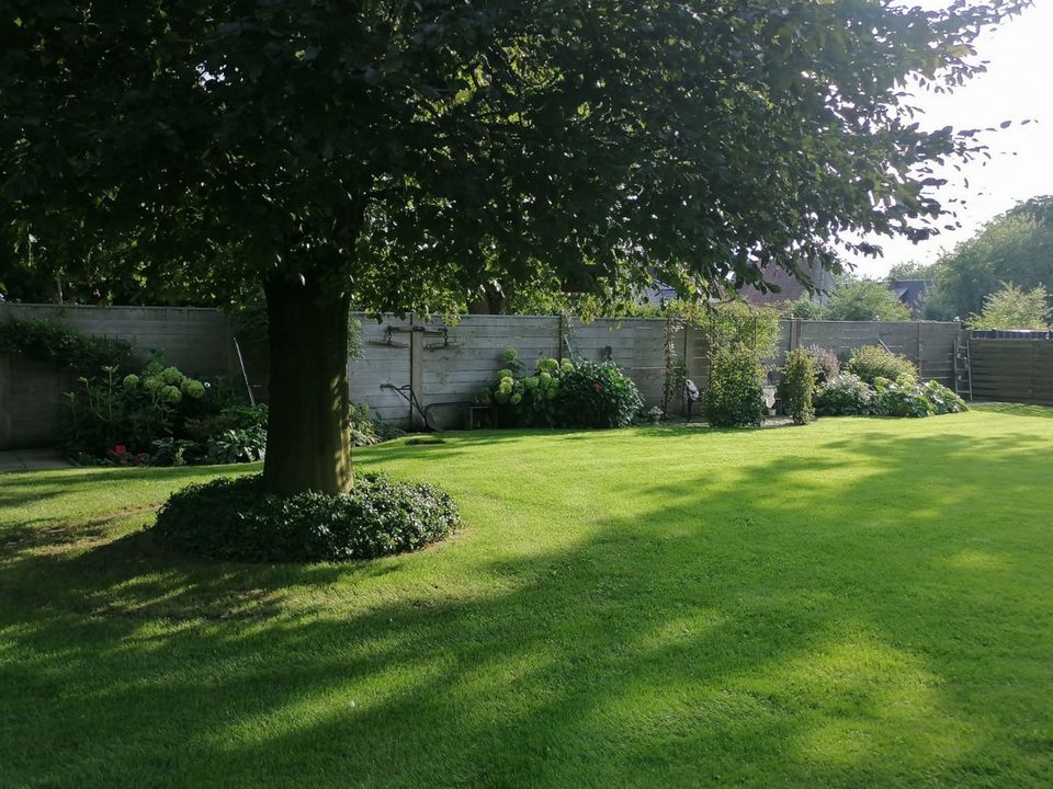 Ruhig gelegenes Architekturhighlight in Zeven mit Gartenidylle in Zeven