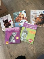 Hase Meerschweinchen Katze Buch Kr. Passau - Passau Vorschau