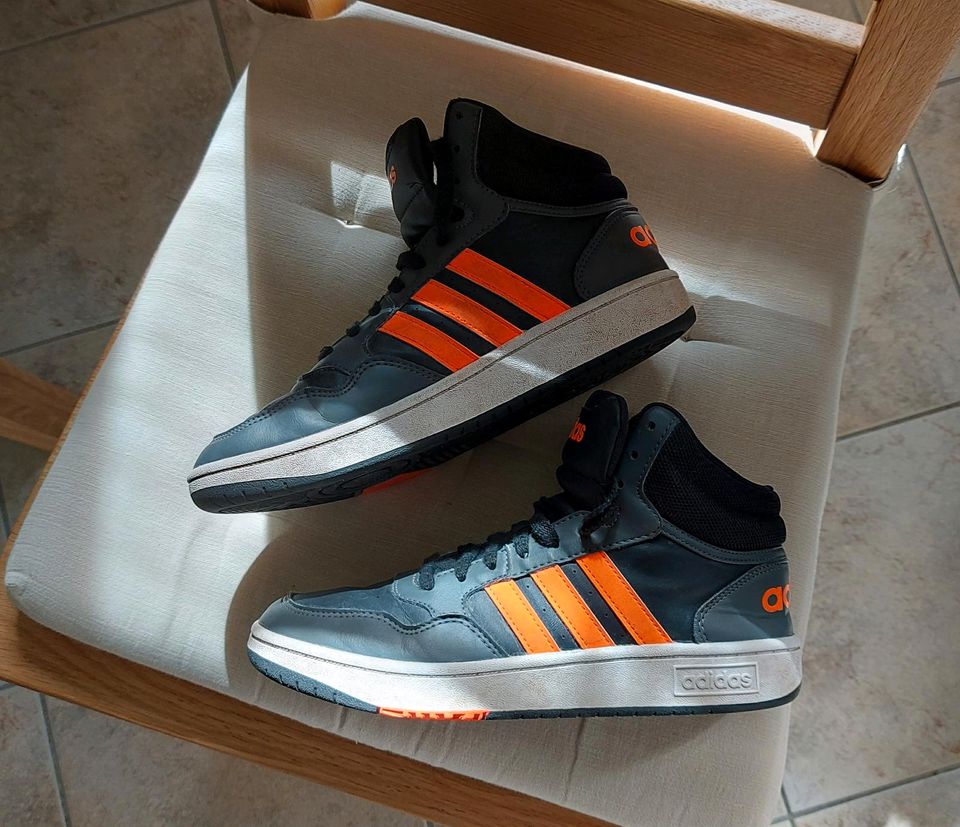 Turnschuhe adidas gr. 4.5 (uk) in Stralsund