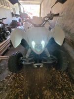 Quad acces  300 Hessen - Poppenhausen Vorschau