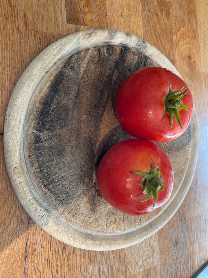 Saatgut Tomate Money Maker Freiland in Meißenheim