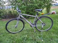 Verkaufe Fahrrad „Winora Paris“ kaum gefahren,wie neu Bayern - Rosenheim Vorschau