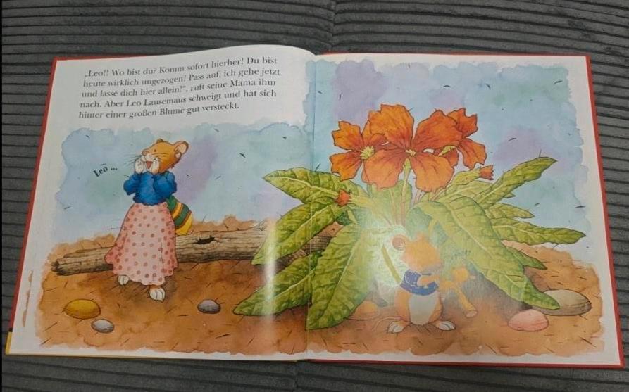 Lingoli Leo Lausemaus hat schlechte Laune Buch Kinderbuch in Wiesbaden