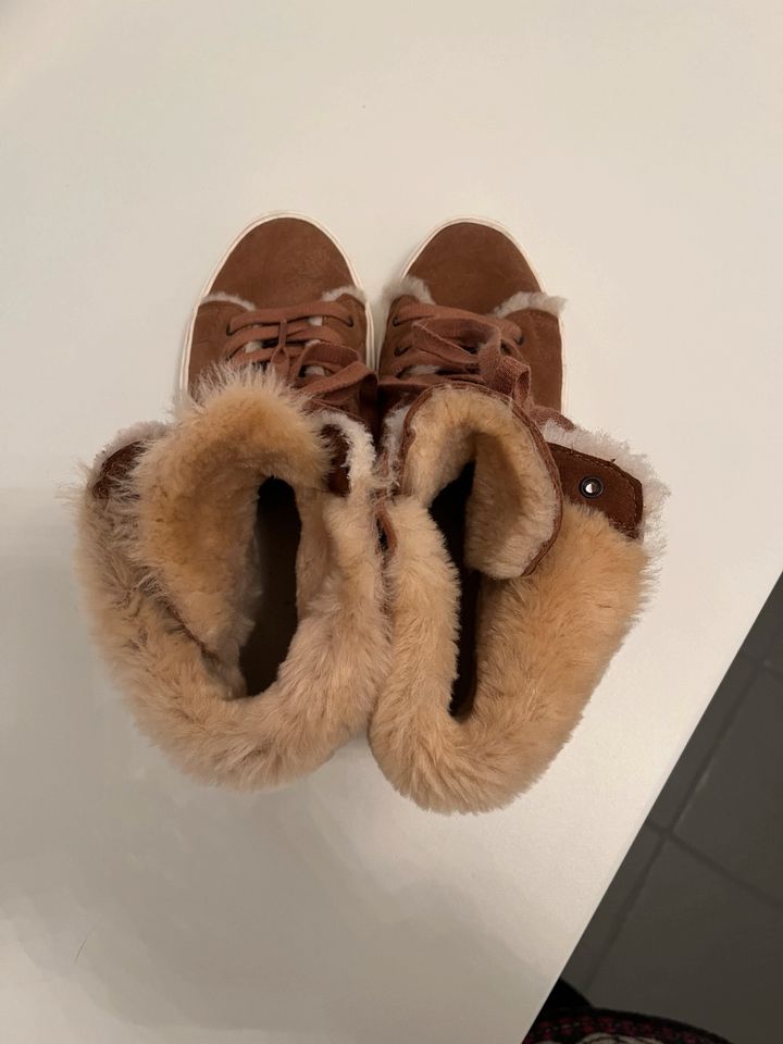 UGG Winter Sneaker high in Bad Bramstedt