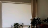 Rollo Tageslicht, blickdicht, weiß, 160 x175 Rostock - Diedrichshagen Vorschau
