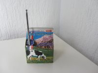Kuriosität - Radio in Tetrapack Milchpackung - skurril Essen - Altenessen Vorschau