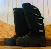 Reitstiefel Gr. 37 Berlin - Pankow Vorschau