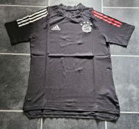 FC Bayern München T-Shirt Sachsen-Anhalt - Jeßnitz Vorschau