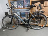 Batavus Cibola Herren Trekking-Rad 28 Zoll Nordrhein-Westfalen - Castrop-Rauxel Vorschau