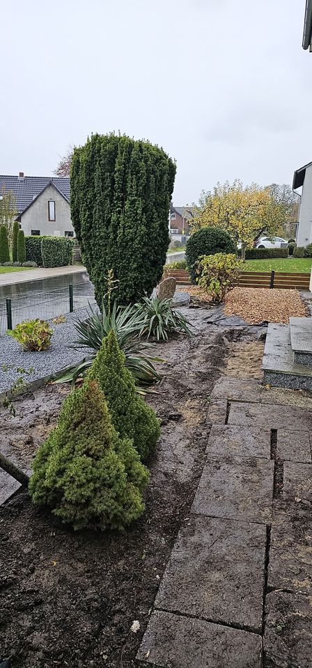 Gartengestaltung von Haus und Garten Rinteln in Rinteln