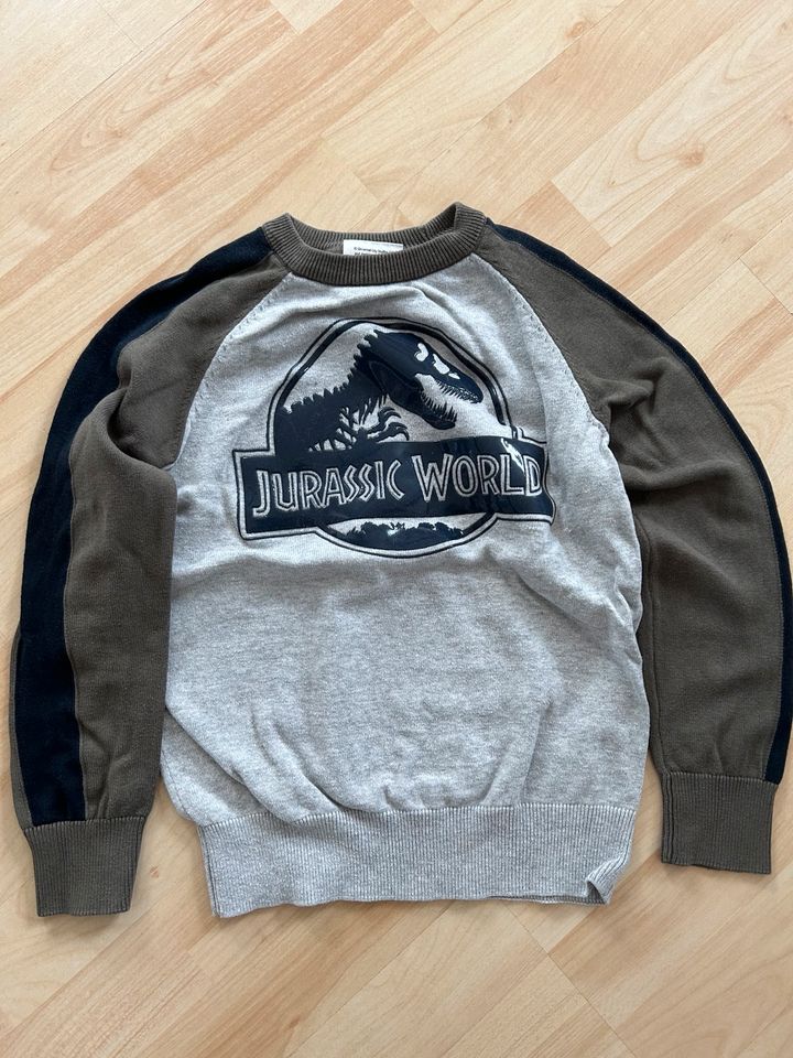 Pullover „Jurassic World“ in Zeuthen