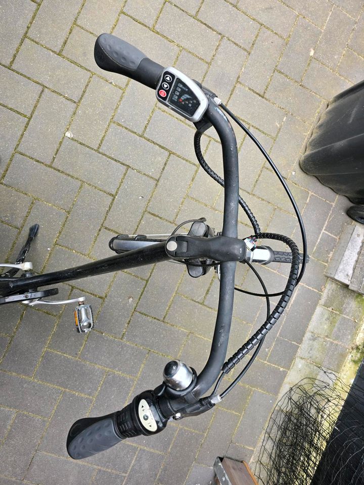 Elektro Fahrrad / E-Bike Curtis in Berkenthin