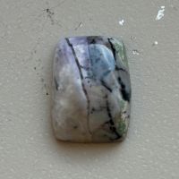 Tiffany Opal (Rare) Baden-Württemberg - Aglasterhausen Vorschau