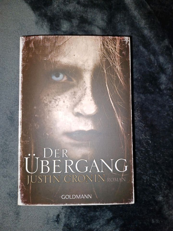 Der Übergang von Justin Cronin in Homburg