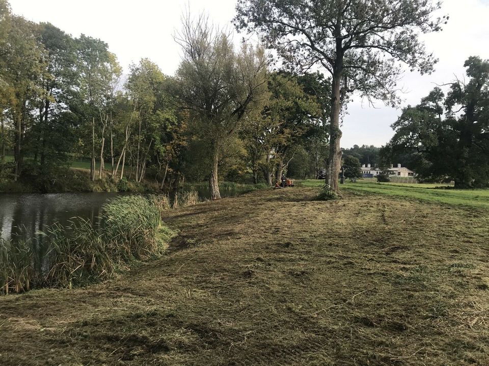 Landschaftspflege Forstmulcher Mähraupe Neuanlage Rasen Fräse in Woldegk