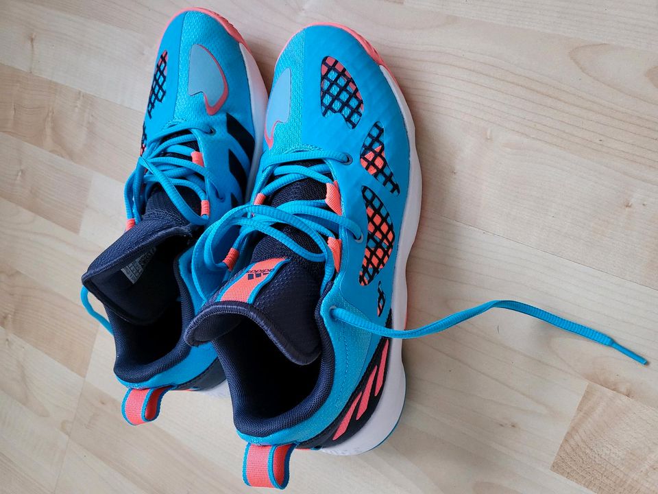 Adidas Pro N3xt Basketball Schuhe in Moers