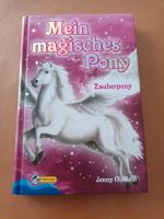 Mein magisches Pony Niedersachsen - Leezdorf Vorschau