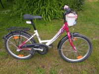 20" Kinderfahrrad Mädchenfahrrad Fahrrad Sachsen - Krostitz Vorschau