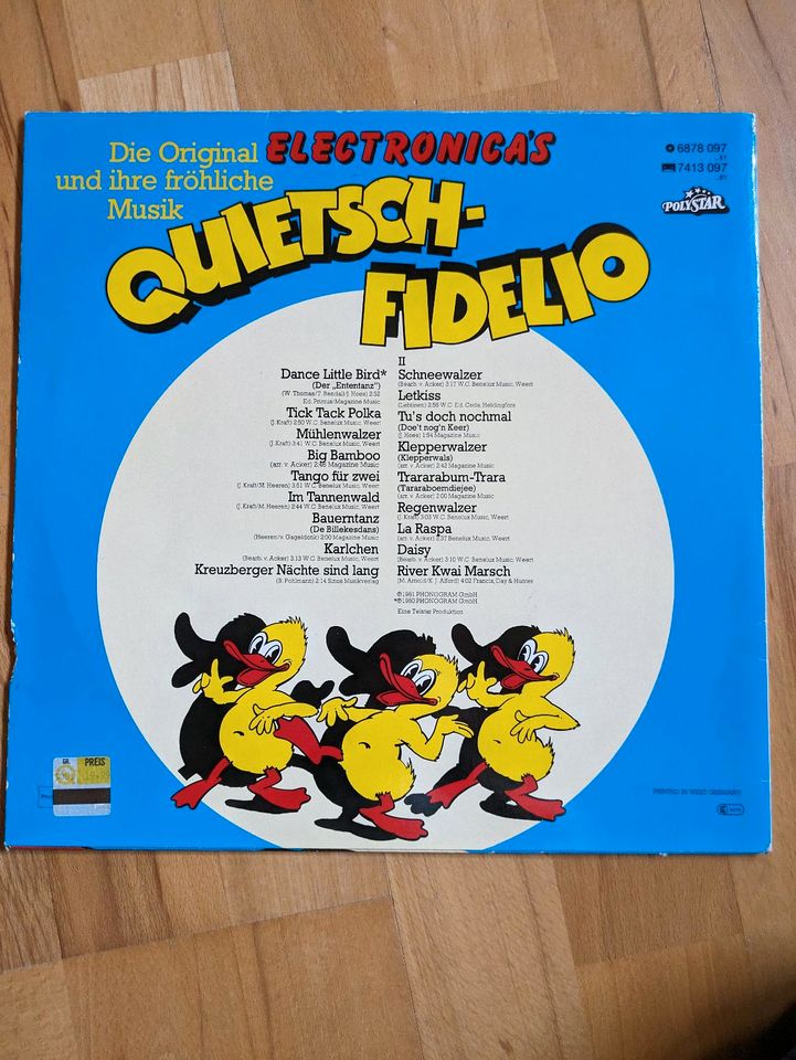 Quitsch Fidelio Schallplatte in Kammeltal