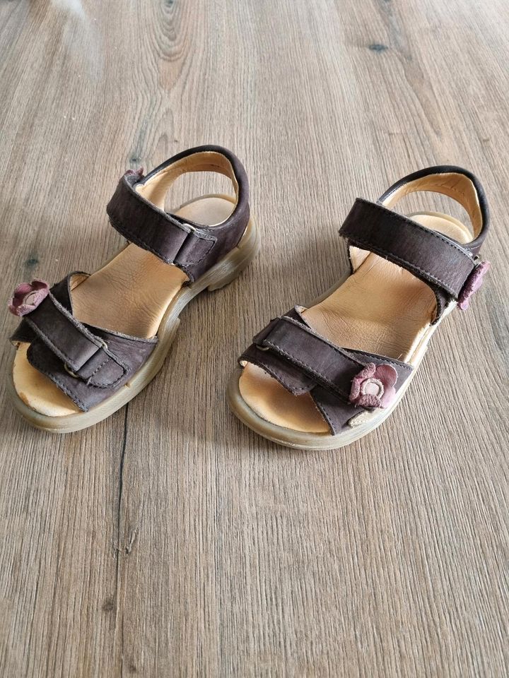 Sandalen Leder Gr 31 in Andernach