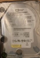 4x Western Digital EIDE 320GB WD Caviar SE16 NEU Altona - Hamburg Ottensen Vorschau