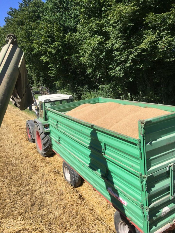 Hühnerfutter; Kleintierfutter, Weizen, Getreide, in Harburg (Schwaben)