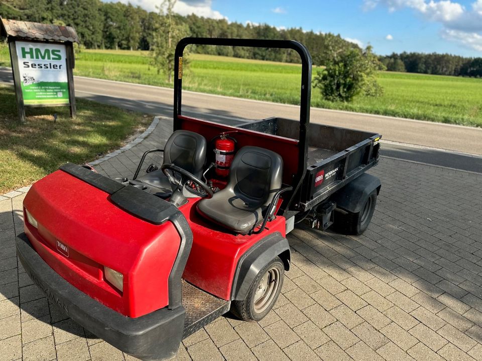 Toro Workman HDX-D 4WD Transportfahrzeug Gator in Weidenbach