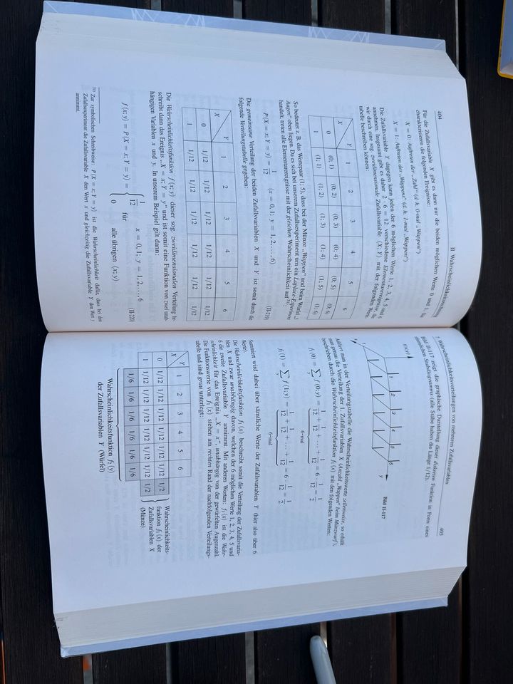 Mathematik für Ingenieure und Naturwissenschaftler Band 3 in Mainz