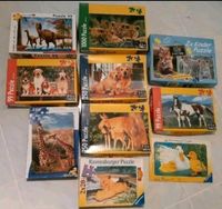 10 verschiedene Puzzle, Tiere, Dinos,Hunde,Pferde,Giraffen,Löwen Sachsen-Anhalt - Schkopau Vorschau