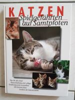 Bildband Katzen Nordrhein-Westfalen - Siegen Vorschau