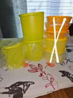 Tupperware Frische Runde Brise 1,1 l NEU OVP Nordrhein-Westfalen - Moers Vorschau