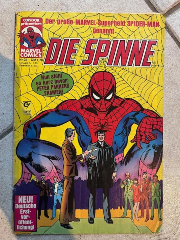 Comics Sammlung Die Spinne, Superman, Gerechtigkeitsliga in Warberg