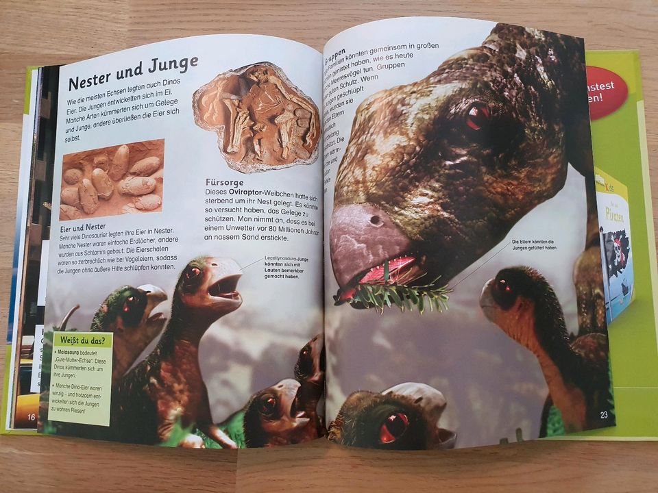 * Top Zustand* Dinosaurier Riesen der Urzeit gebunden memo in Berlin